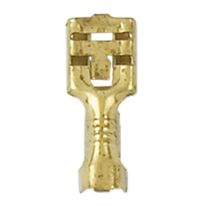 Terminal Hembra Desnudo C/P
